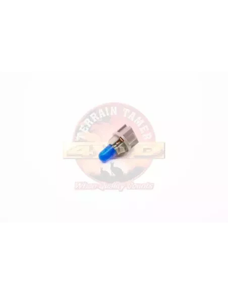 Ampoule 12V 2W combiné d'instruments Terrain Tamer