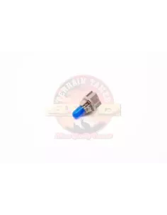 Ampoule 12V 2W combiné d'instruments Terrain Tamer 2