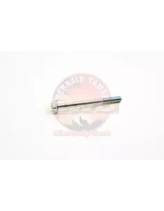 Vis maintien injecteur cache-culbuteur Terrain Tamer