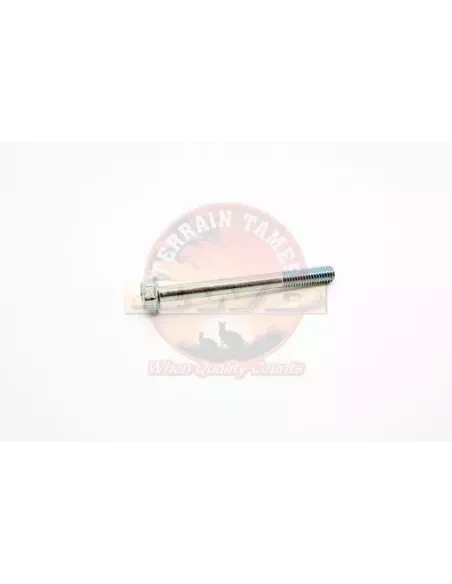 Vis maintien injecteur cache-culbuteur Terrain Tamer