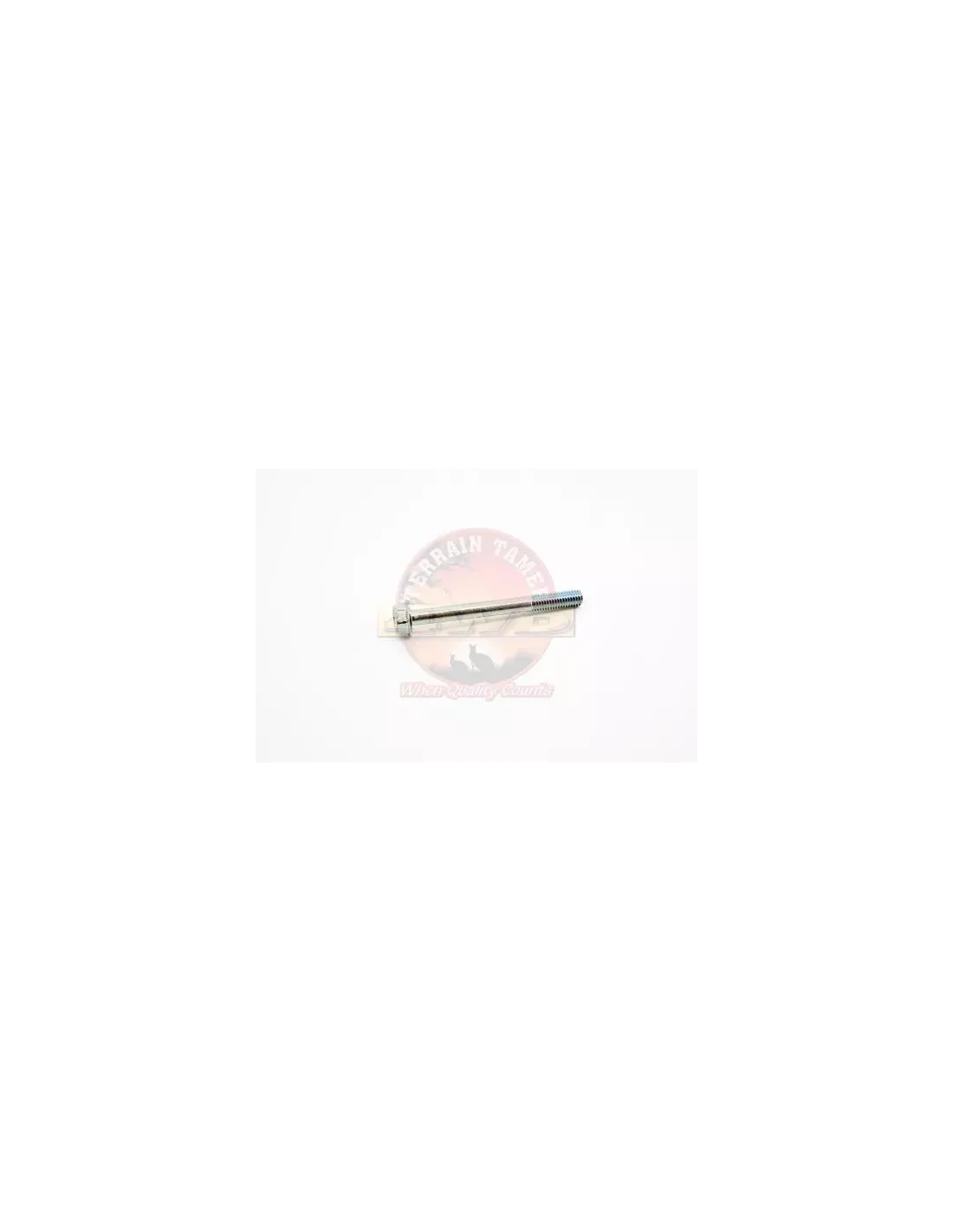 Vis maintien injecteur cache-culbuteur Terrain Tamer