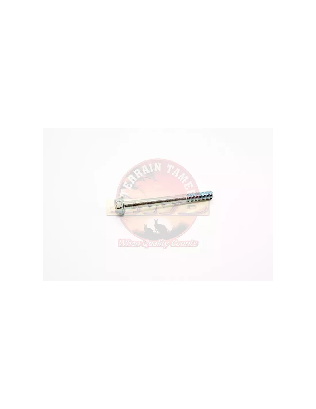 Vis maintien injecteur cache-culbuteur Terrain Tamer