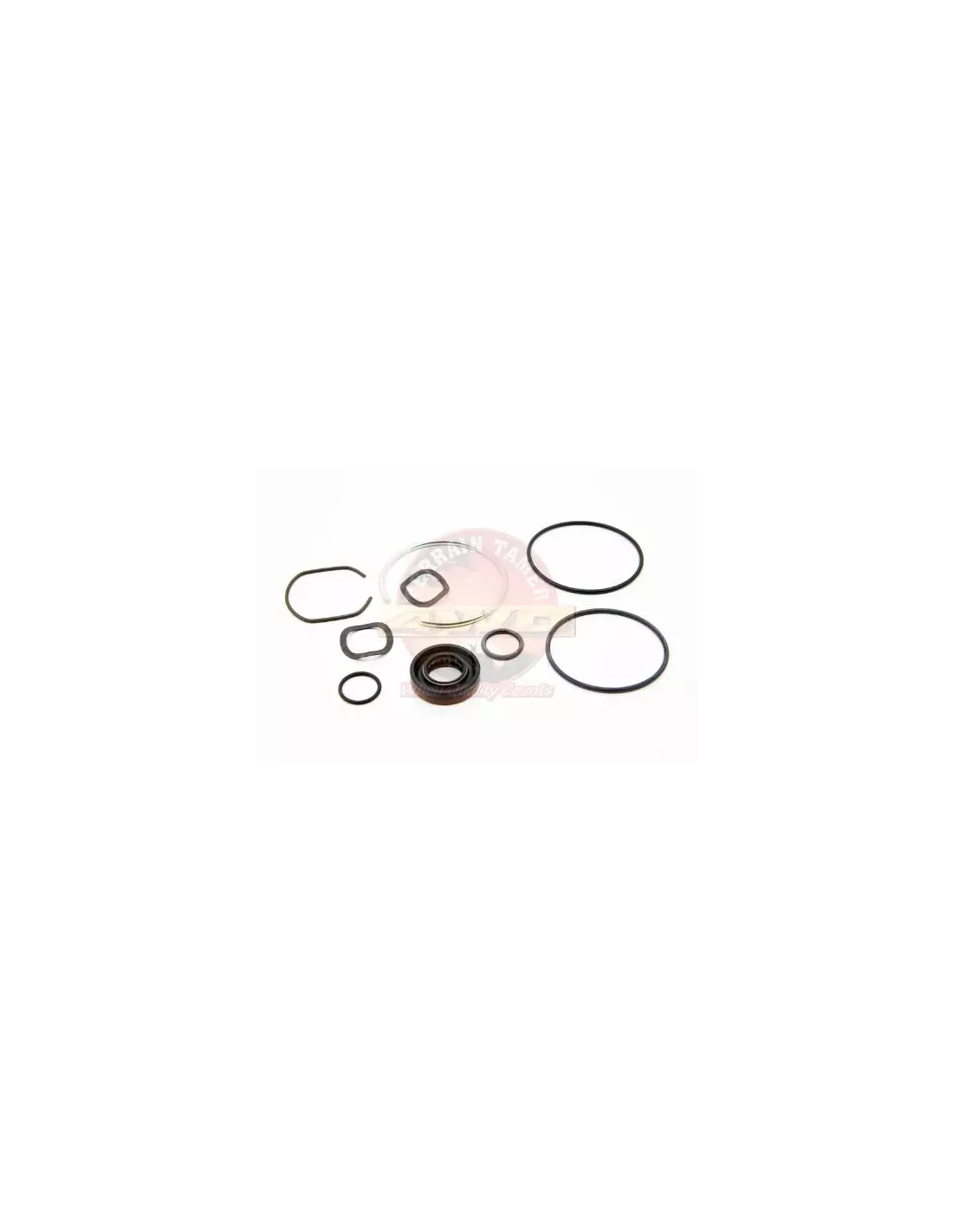Kit joints pompe direction assistée Terrain Tamer