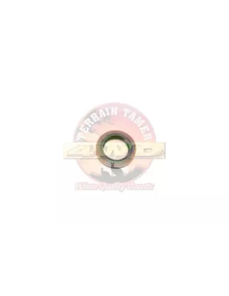 Joint arbre pompe injection Terrain Tamer 22544-64740