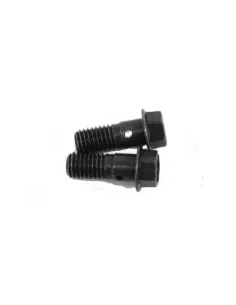 Boulon raccord tuyau huile turbo VDJ76/78/79 Terrain Tamer