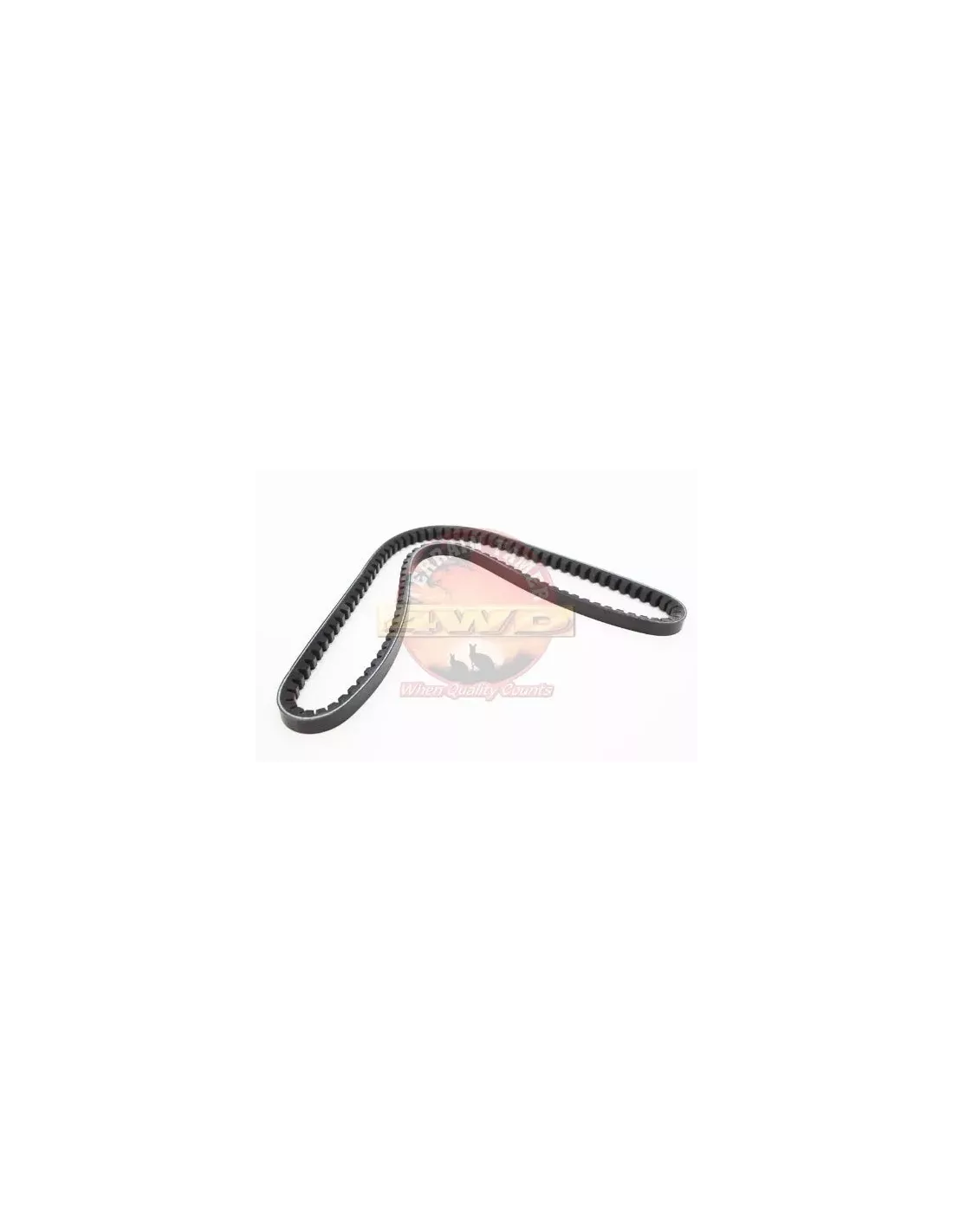 Courroie de ventilateur 3B Terrain Tamer