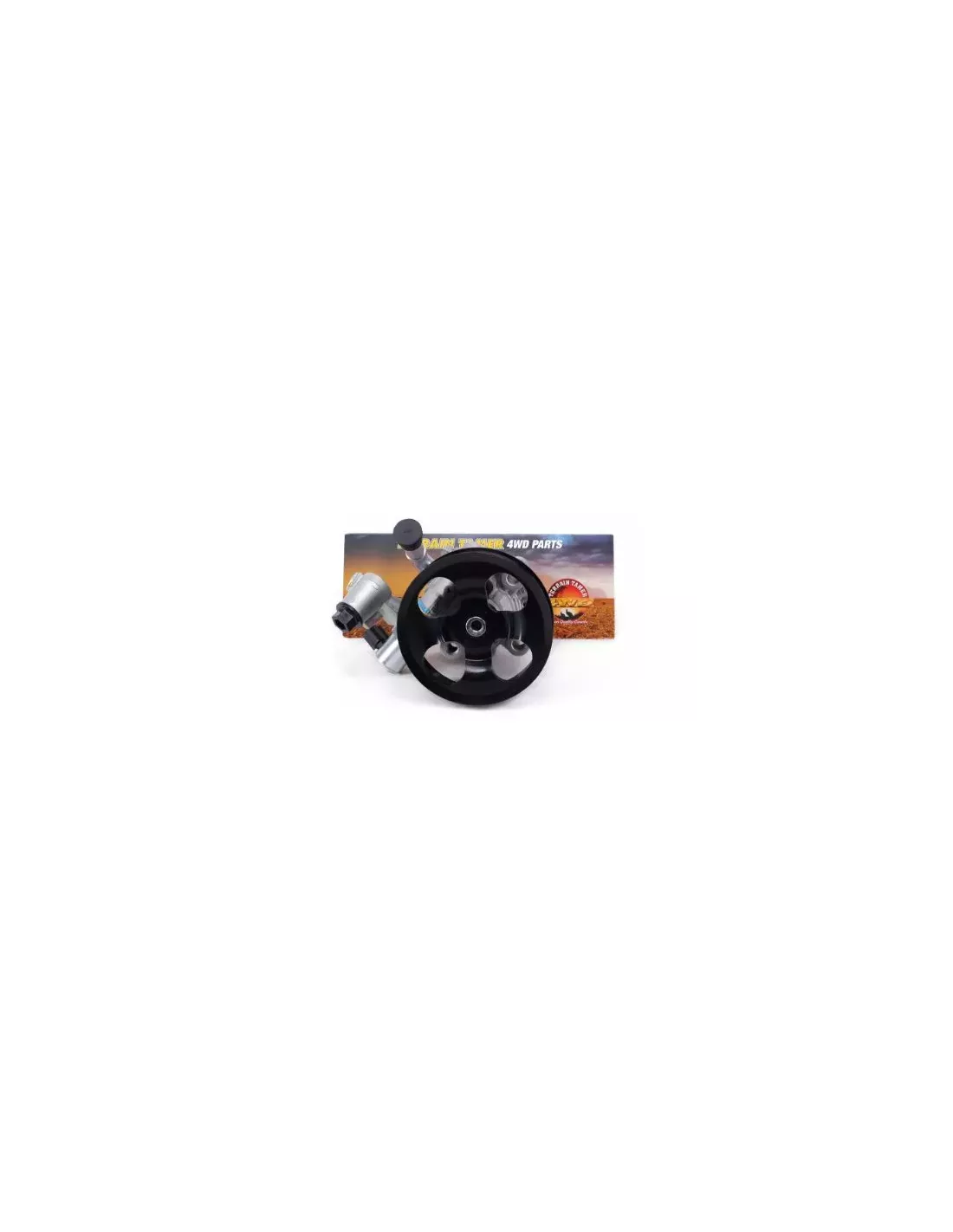 Pompe de direction assistée Terrain Tamer 44310-0K142