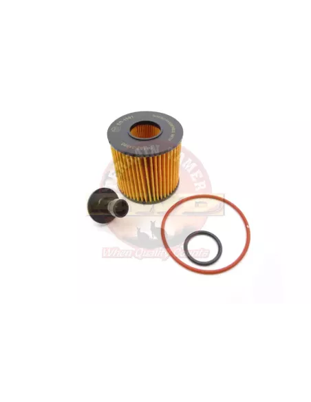 Filtre à huile Terrain Tamer R2648P