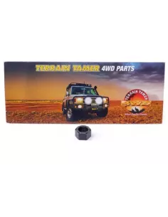Écrou boulon amortisseur avant Terrain Tamer 90170-16011