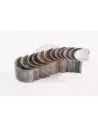 Jeu de coussinets de bielle 0.50 F 2F Terrain Tamer