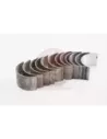 Jeu de coussinets de bielle 0.50 F 2F Terrain Tamer