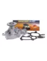 Pompe à eau 2KDFTV Terrain Tamer
