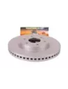 Disque de frein avant Terrain Tamer 40206-1LB1ATT