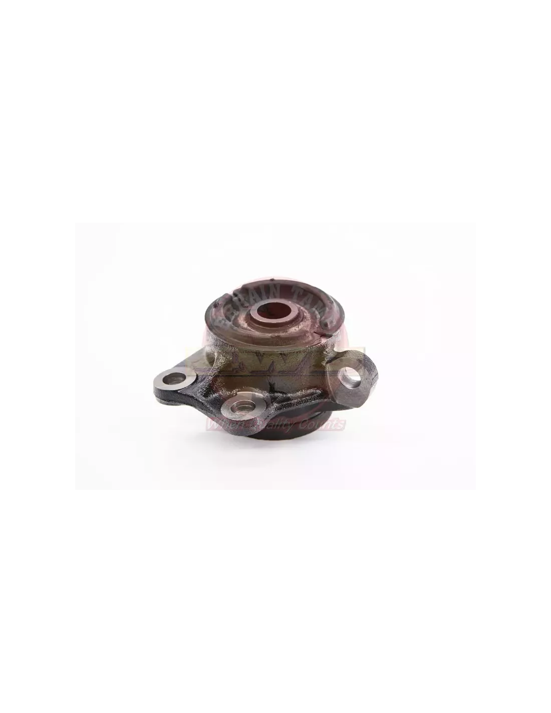 Support de différentiel avant droit Terrain Tamer 51250-3501