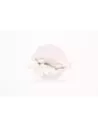 Vis de couronne avec came de blocage Terrain Tamer