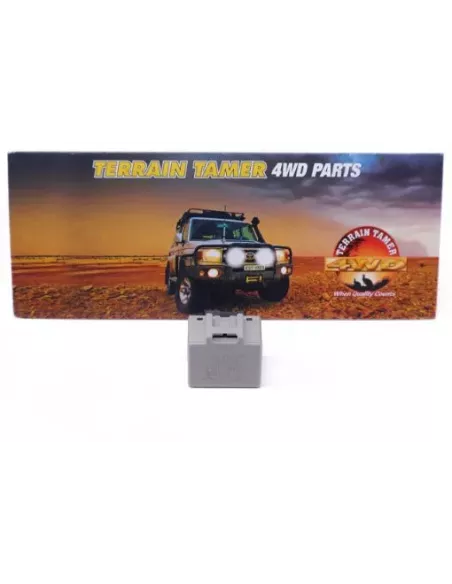 Relais clignotant Terrain Tamer 81980-50030