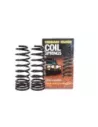 Ressorts arrière surélevés 20 mm Terrain Tamer