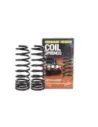 Ressorts arrière surélevés 20 mm Terrain Tamer