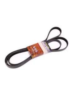 Courroie trapézoïdale 2.8L Turbo Terrain Tamer