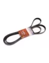 Courroie trapézoïdale 2.8L Turbo Terrain Tamer