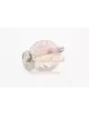Boulon de réglage de came Terrain Tamer 48190-60011
