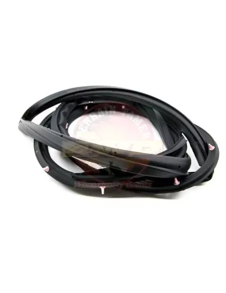 Bourrelet de porte avant gauche Terrain Tamer 67862-60071