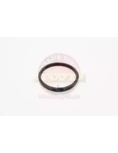 Joint de thermostat Terrain Tamer 16325-62010 2