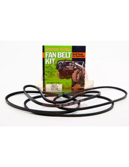 Kit courroie ventilateur, direction assistée et climatisatio
