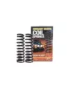 Ressorts avant surélevés 40 mm 100 kg Landcruiser Prado 90