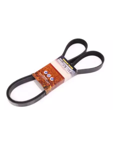 Courroie d'accessoires Terrain Tamer YS23DDT 2.3L
