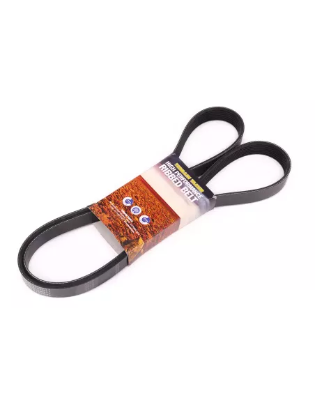 Courroie d'accessoires Terrain Tamer YS23DDT 2.3L