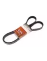 Courroie d'accessoires Terrain Tamer YS23DDT 2.3L