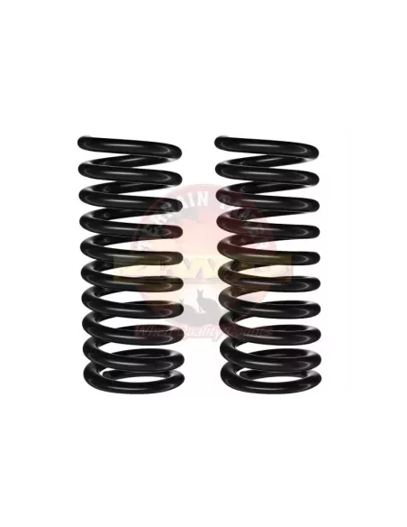 Ressorts avant rehaussés 60mm 50kg avec pare-buffle TTCS-040