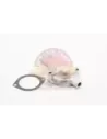 Boîtier Thermostat Supérieur F 2F Terrain Tamer