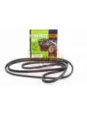 Kit courroie ventilateur Direction Assistée Clim TT FBK8