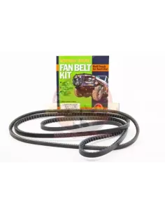 Kit courroie ventilateur Direction Assistée Clim TT FBK8 2