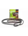 Kit courroie ventilateur Direction Assistée Clim TT FBK8