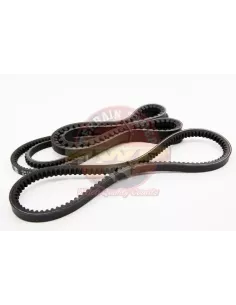 Kit Courroies Ventilateur Direction Assistée & A/C Terrain T