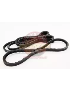 Kit Courroies Ventilateur Direction Assistée & A/C Terrain T 2