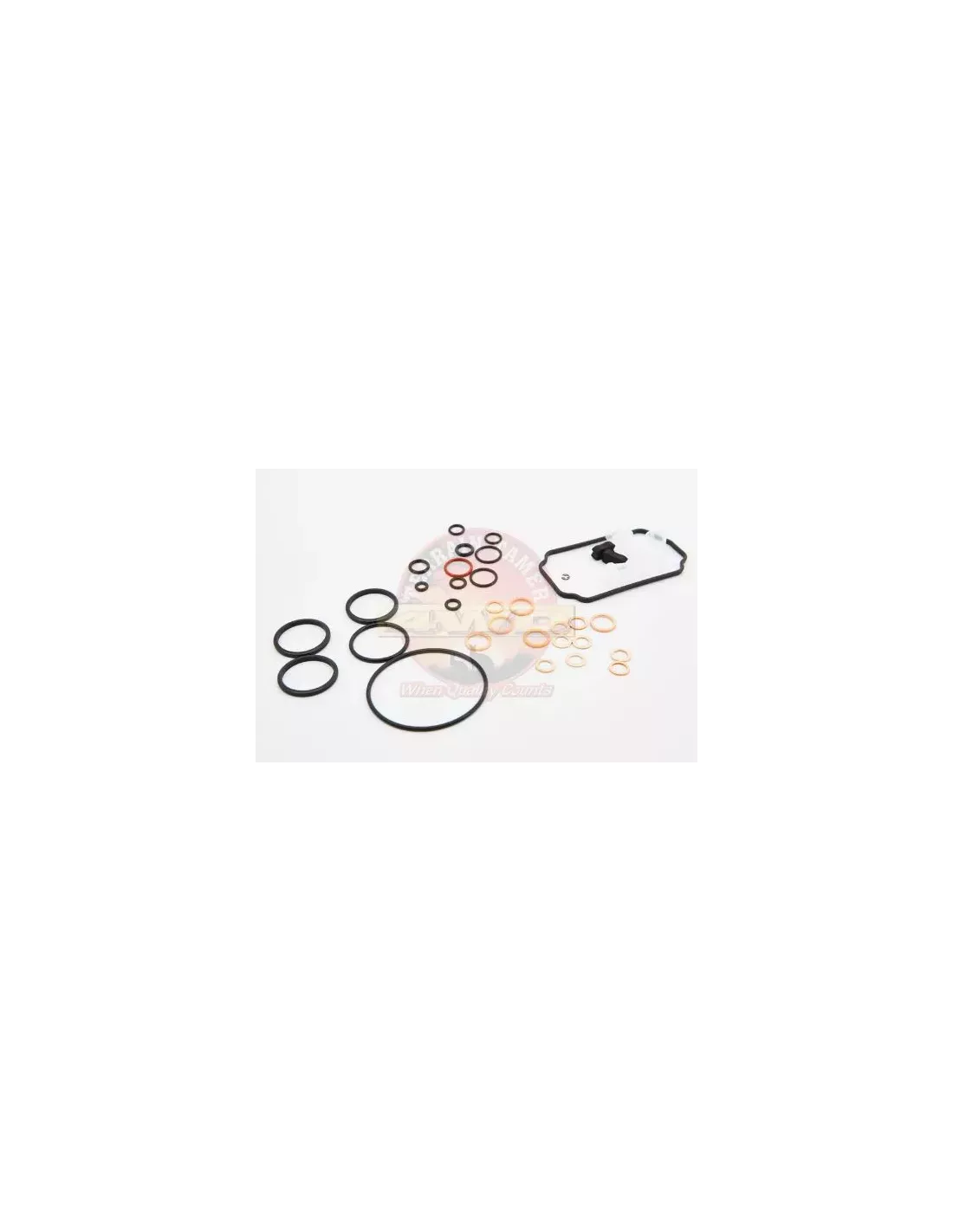 Kit de réparation joint pompe injection Terrain Tamer