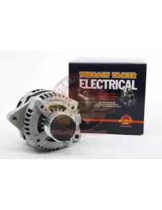Alternateur 12V 100A Terrain Tamer 2
