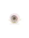 Poulie Détente Pompe Direction Assistée 2.5L Diesel Terrain