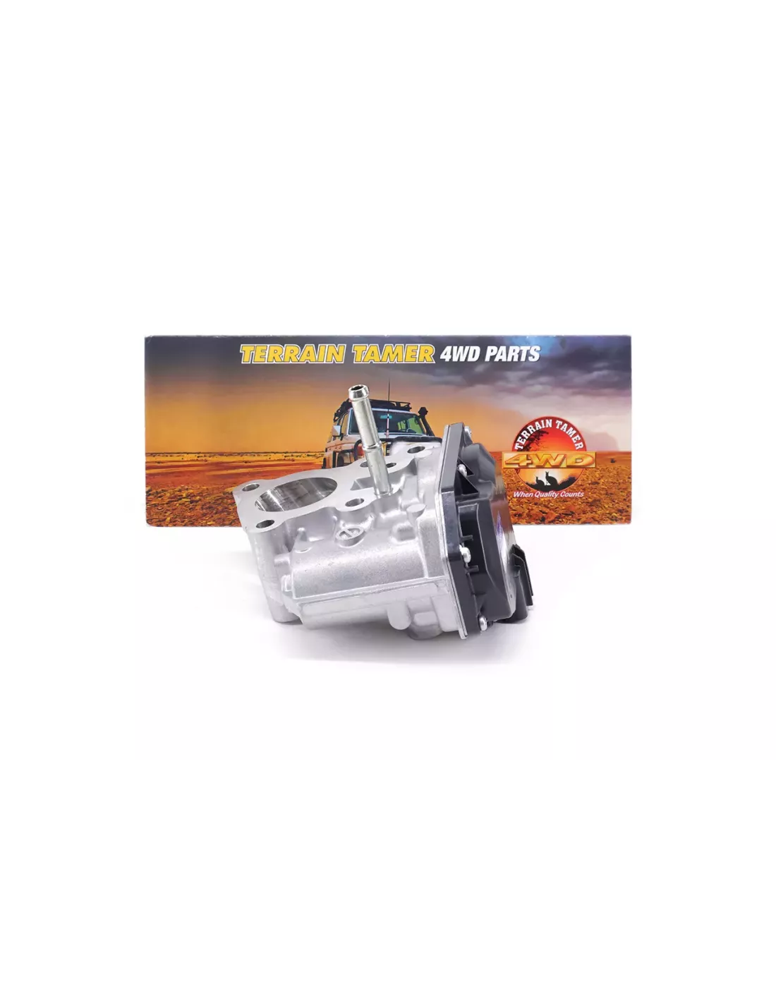 Valve Électrique de Contrôle EGR Terrain Tamer 25800-0E010
