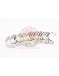 Jeu de coussinets de bielle 0,50mm 1VDFTV Terrain Tamer 2
