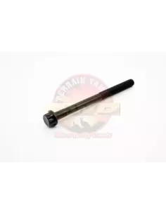 Boulon de culasse Terrain Tamer 90910-02169 2