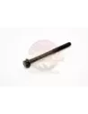 Boulon de culasse Terrain Tamer 90910-02169