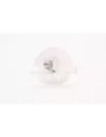 Bouchon avec vis tête droite bloc cylindre n°1 Terrain Tamer