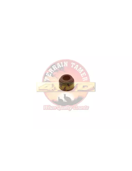 Joint tige de valve Terrain Tamer - 90913-02094TT