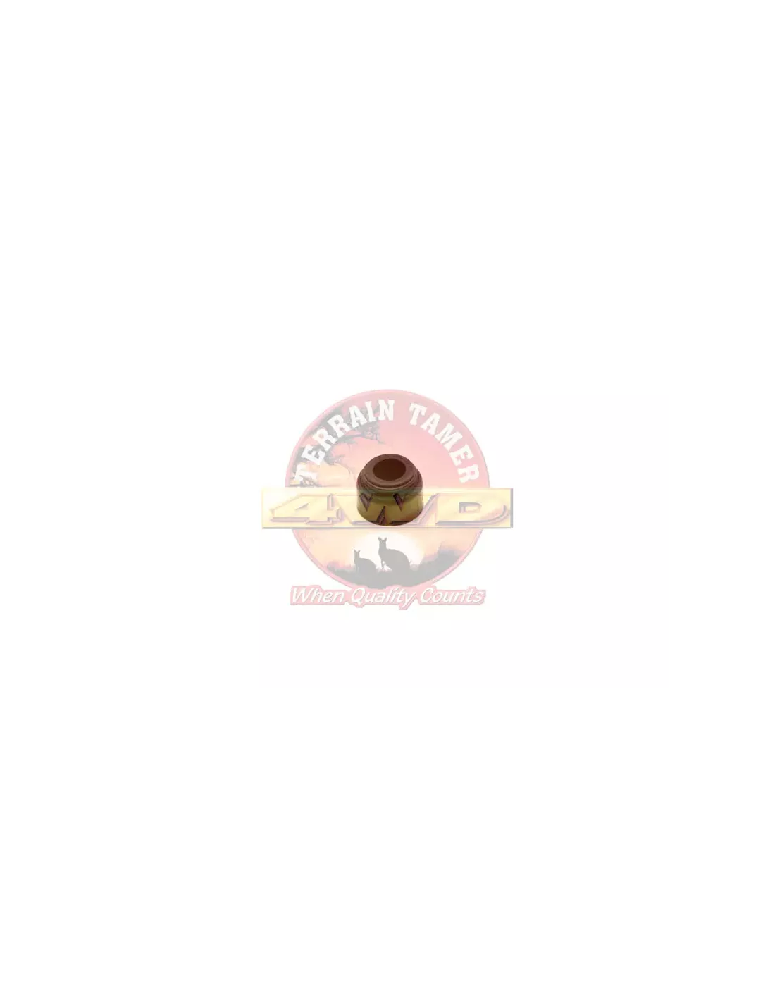 Joint tige de valve Terrain Tamer - 90913-02094TT