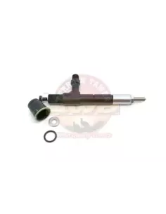 Injecteur moteur 1HDFTE 24 soupapes EFI Terrain Tamer 2